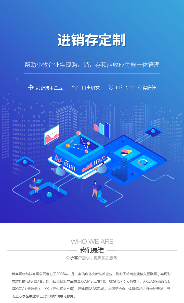 定制进销存系统：助力企业高效运作